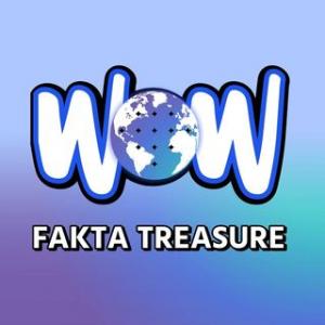 WOWFAKTA TREASURE